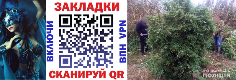 Наркошоп купить Кодеин  Каннабис  Мефедрон  Гашиш  СК  Каменногорск