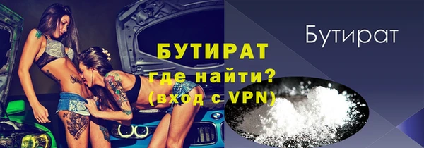 индика Саяногорск