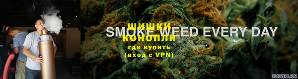 индика Саяногорск