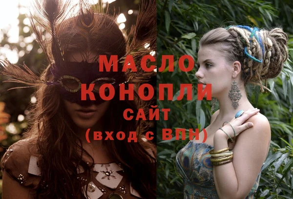 индика Саяногорск