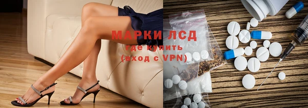 индика Саяногорск