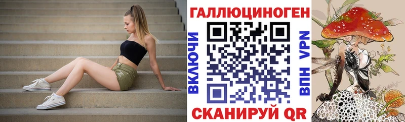 Купить закладки  Каменногорск  Псилоцибиновые грибы GOLDEN TEACHER 