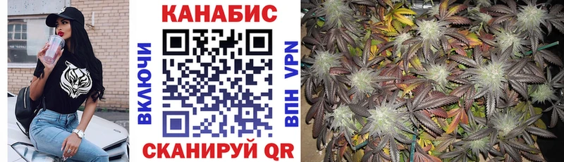 Купить где  Каменногорск  Бошки марихуана SATIVA & INDICA 